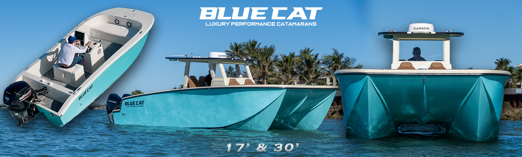 Bluecat 30 Updated